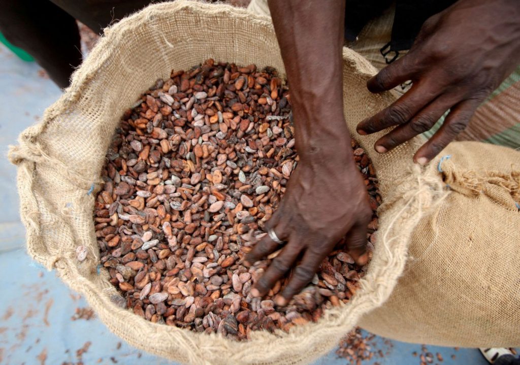 Cocoa buyers back Ivory Coast and Ghana’s cocoa premium schemes
