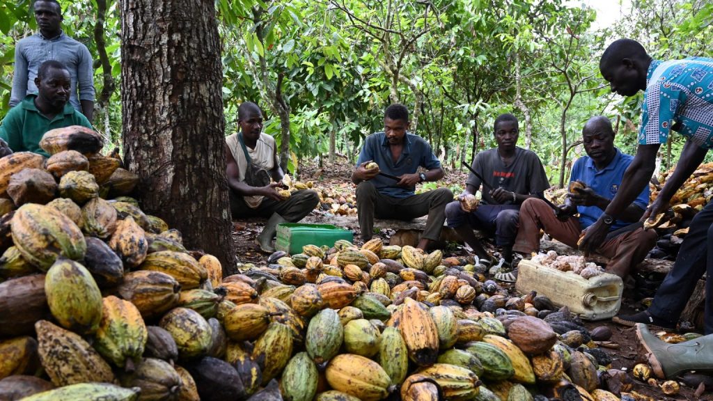 Ghanaian cocoa farmers face challenges due to shortage of funds, according to BBC report